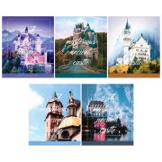 Тетрадь 80л., А5, линия ArtSpace 