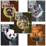 Тетрадь А5 48 л. HATBER-ECO, скоба, клетка, обложка картон, «Animals» (4847)