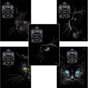Тетрадь А5, 48 л., HATBER, скоба, клетка, матовая ламинация, 3D, «RoyalCats» (8335)