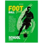 Дневник 5-11 класс 48 л., твердый, BRAUBERG, глянцевая ламинация, с подсказом, «Football», 106405